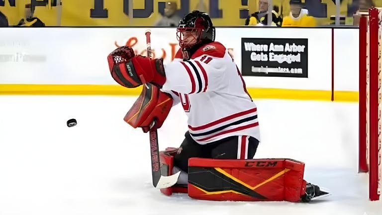 NHL Update 6 Reasons